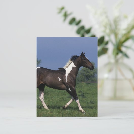 Paarden van verf die lopen 2 briefkaart (Staand voorkant)