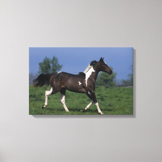 Paarden van verf die lopen 2 canvas afdruk (Voorkant)