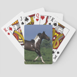 Paarden van verf die lopen 2 pokerkaarten