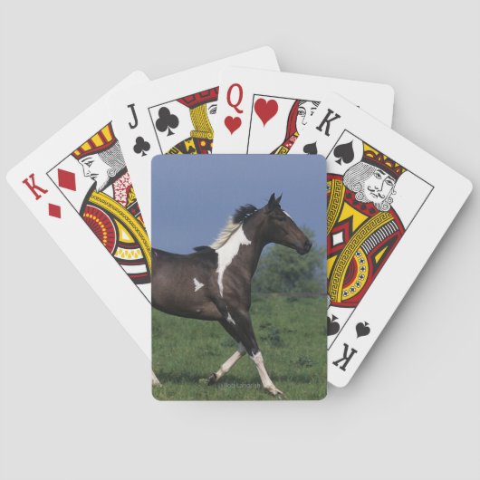 Paarden van verf die lopen 2 pokerkaarten (Achterkant)
