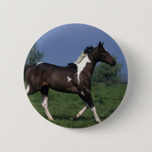 Paarden van verf die lopen 2 ronde button 5,7 cm