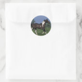 Paarden van verf die lopen 2 ronde sticker (Tas)