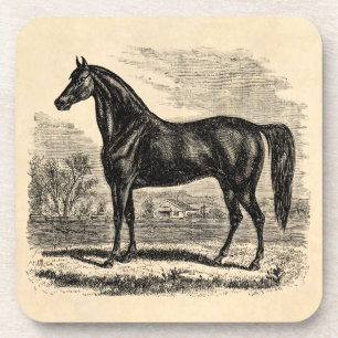 Paarden van Vintage 1800 - Sjabloon van Morgan Equ Bier Onderzetter