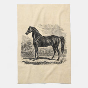 Paarden van Vintage 1800 - Sjabloon van Morgan Equ Theedoek