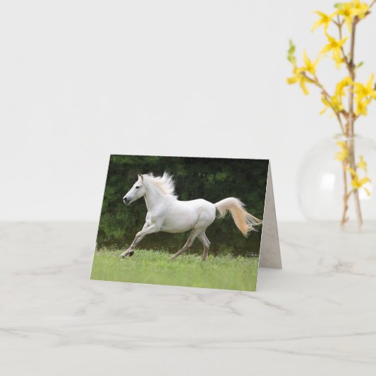 Paarden van witte gaard kaart (Gele Bloem)