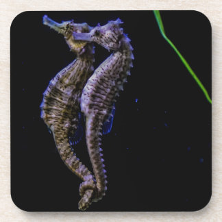 Paarden van zee (zeepaarden) bier onderzetter