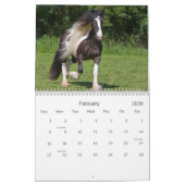 Paarden van zigeuners in Duitsland in 2016 Kalender (Feb 2026)
