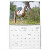 Paarden van zigeuners in Duitsland in 2016 Kalender (Jan 2026)