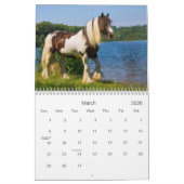 Paarden van zigeuners in Duitsland in 2016 Kalender (Mar 2026)