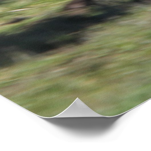 Paarden van zigeunerverkenners die lopen poster (Hoek)