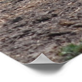 Paarden/verf Poster (Hoek)