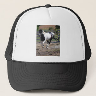 Paarden/verf Trucker Pet