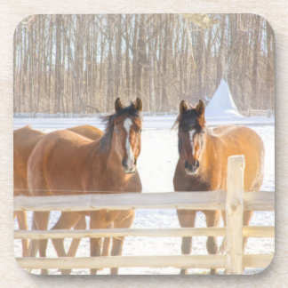 Paarden Vermont Winter Harde Plastic Onderzetter