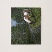 Paarden verven door Forest Stream Legpuzzel (Verticaal)
