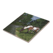 Paarden verven door Forest Stream Tegeltje (Zijkant)