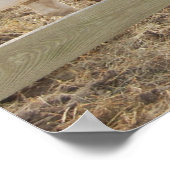 Paarden verven in Corral Poster (Hoek)
