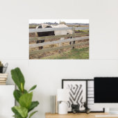 Paarden verven in Corral Poster (Thuiskantoor)