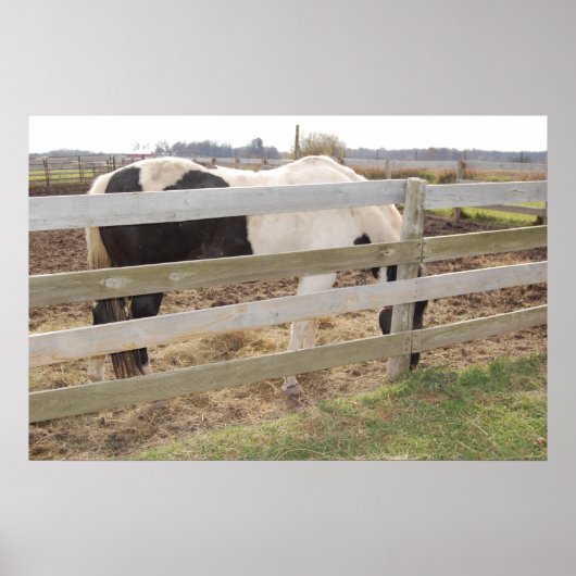 Paarden verven in Corral Poster (Voorkant)