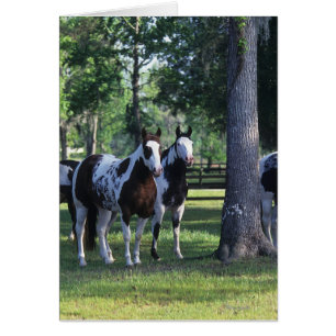 Paarden verven in de bomen