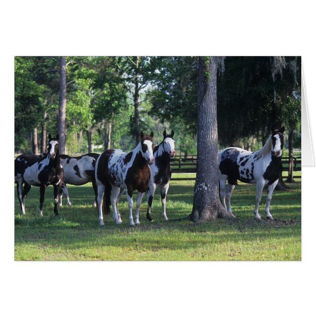 Paarden verven in de bomen (Voorkant Horizontaal)