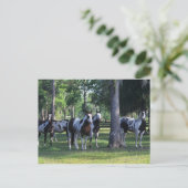 Paarden verven in de bomen briefkaart (Staand voorkant)