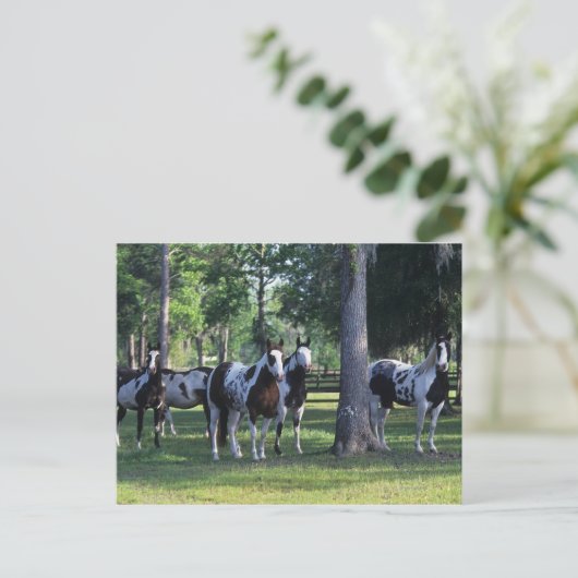 Paarden verven in de bomen briefkaart (Staand voorkant)