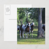 Paarden verven in de bomen briefkaart (Voorkant / Achterkant)