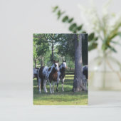 Paarden verven in de bomen briefkaart (Staand voorkant)