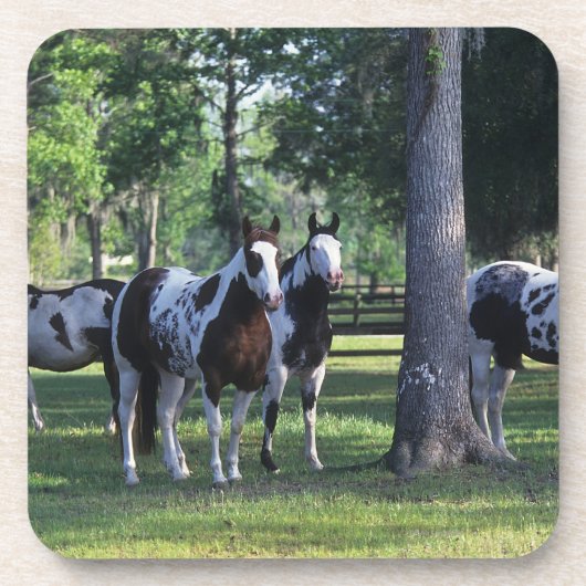 Paarden verven in de bomen drankjes onderzetter (Voorkant)