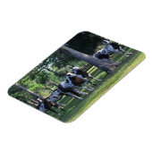 Paarden verven in de bomen magneet (Linkerzijde)