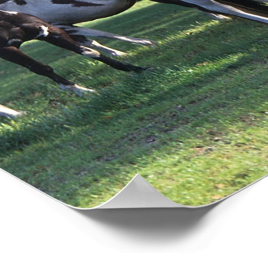 Paarden verven in de bomen poster (Hoek)