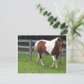 Paarden verven in het puin briefkaart (Staand voorkant)