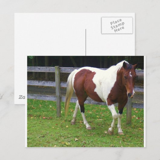 Paarden verven in het puin briefkaart (Voorkant / Achterkant)