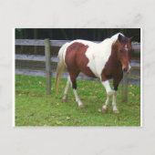 Paarden verven in het puin briefkaart (Voorkant)