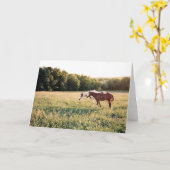 Paarden verven in pasta kaart (Gele Bloem)