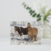 Paarden verven in sneeuw briefkaart (Staand voorkant)