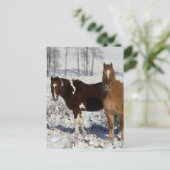 Paarden verven in sneeuw briefkaart (Staand voorkant)