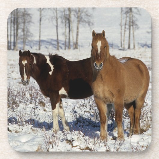 Paarden verven in sneeuw drankjes onderzetter (Voorkant)