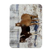Paarden verven in sneeuw magneet (Verticaal)