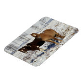 Paarden verven in sneeuw magneet (Linkerzijde)