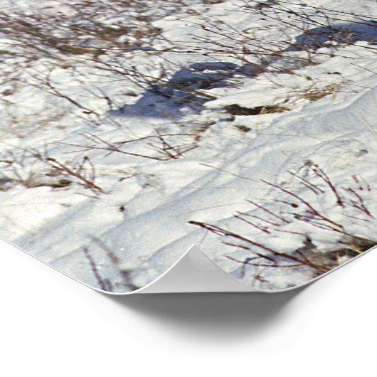 Paarden verven in sneeuw poster (Hoek)