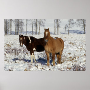 Paarden verven in sneeuw poster