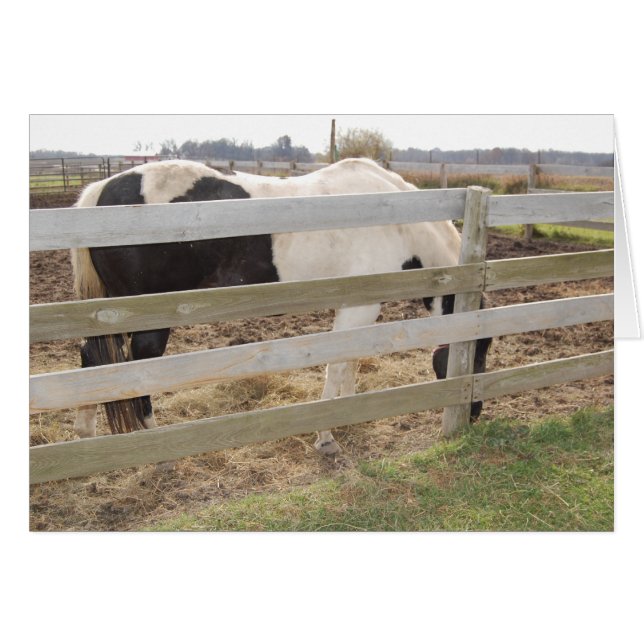 Paarden verven/verven (Voorkant Horizontaal)