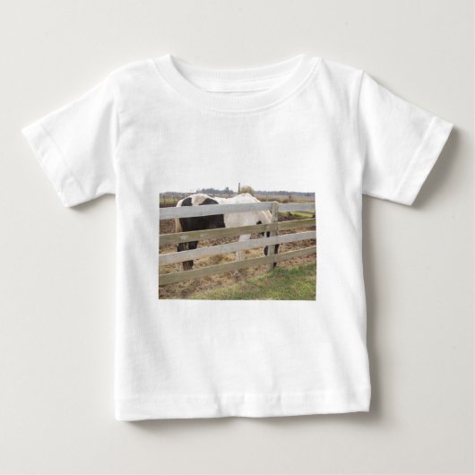 Paarden verven/verven (Voorkant)