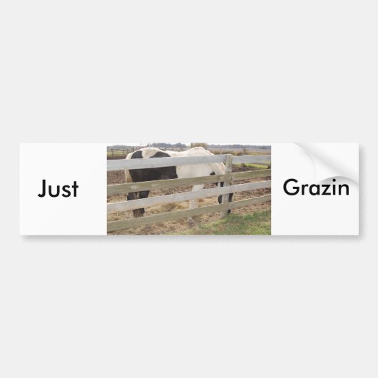 Paarden verven/verven bumpersticker (Voorkant)