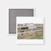 Paarden verven/verven magneet (Voorkant / Achterkant)