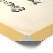 Paarden Veterinaire Beenderen Botten Spier Anatomi Poster (Hoek)