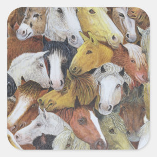 Paarden Vierkante Sticker