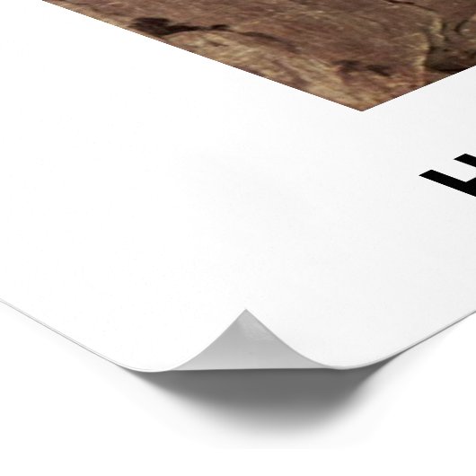 Paarden voor keizer door de kapitein van het paard poster (Hoek)