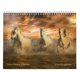 Paarden voor schitterende paarden en paardachtigen kalender